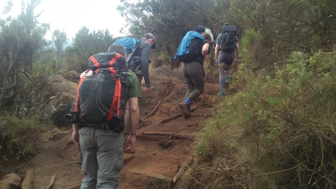 Kilimanjaro northern circuit treking
