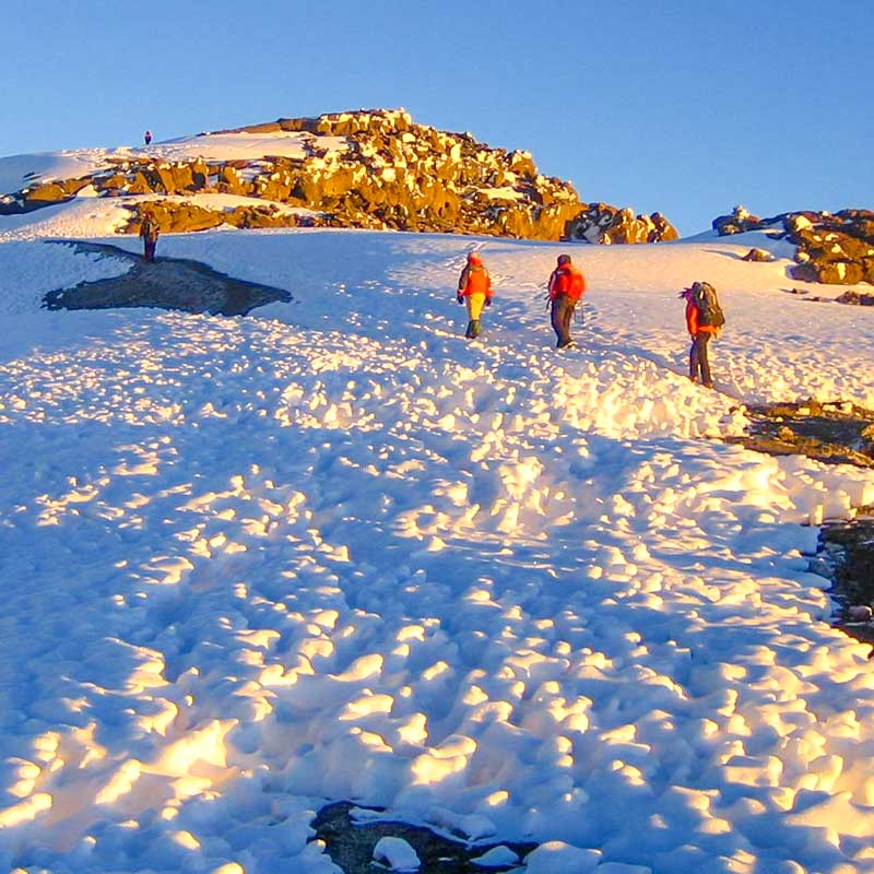 kilimanjaro shira route climbing