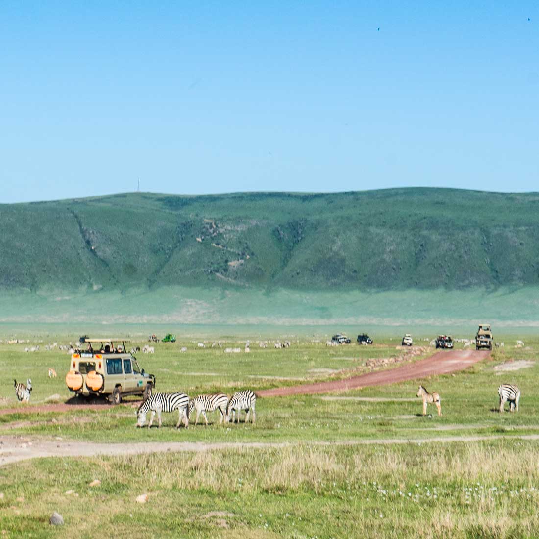 ngorongoro_crater_short_safari