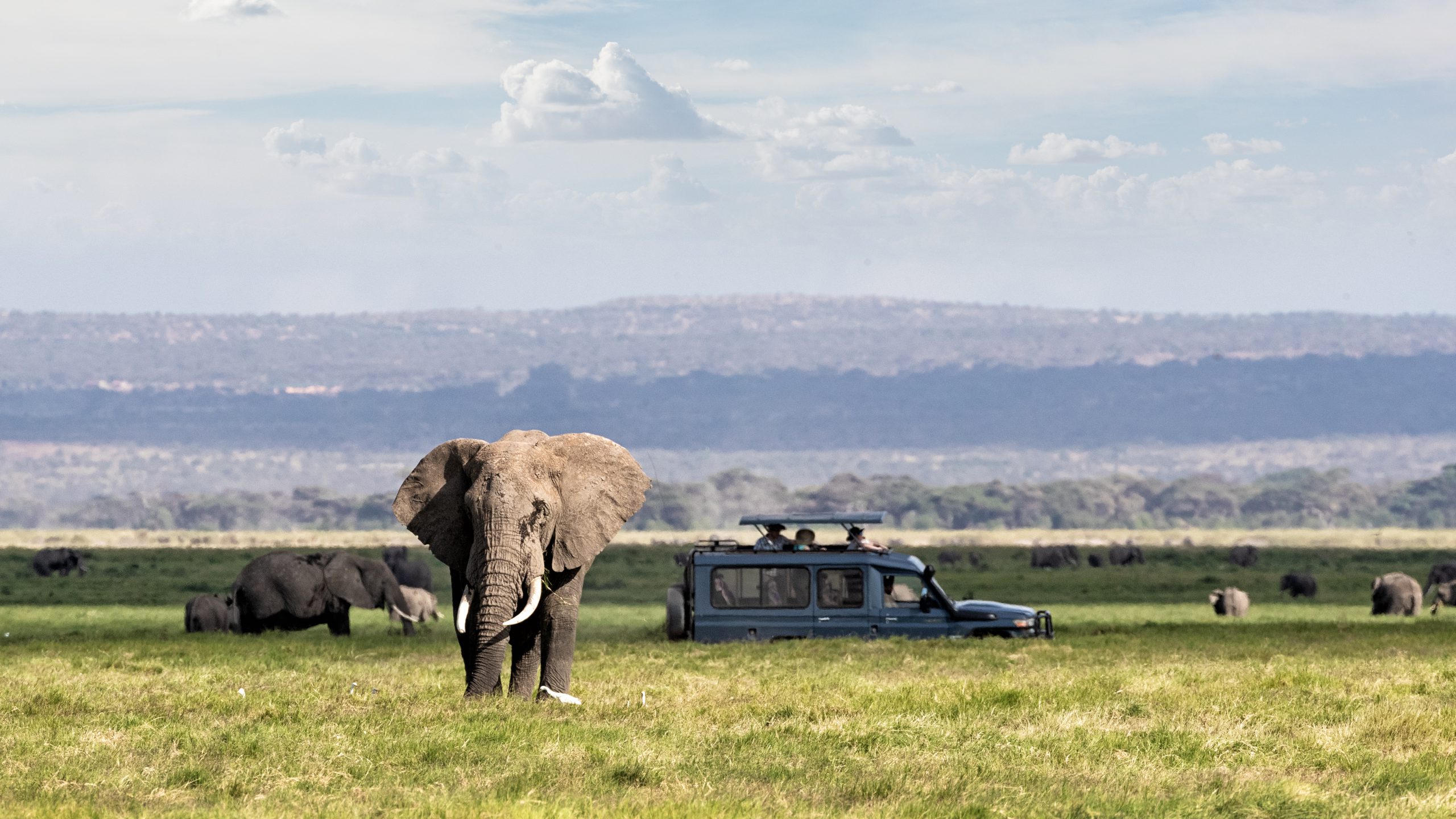 shutterstock_1367755322 scaled