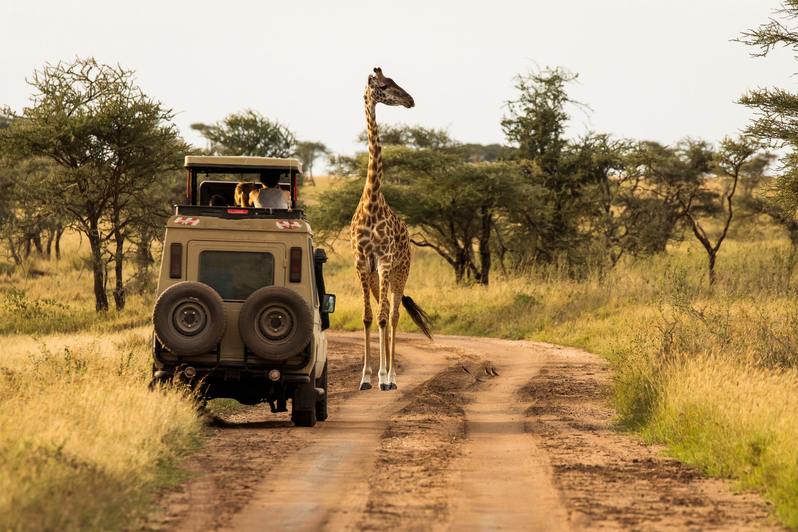 shutterstock_1720635901 scaled